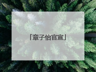 章子怡官宣