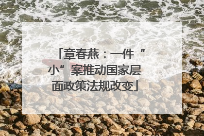 章春燕：一件“小”案推动国家层面政策法规改变