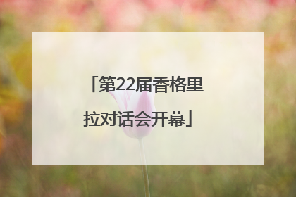 第22届香格里拉对话会开幕
