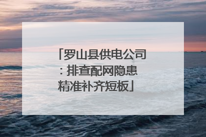 罗山县供电公司：排查配网隐患 精准补齐短板