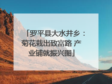 罗平县大水井乡：菊花栽出致富路 产业铺就振兴图