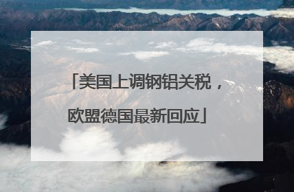 美国上调钢铝关税，欧盟德国最新回应