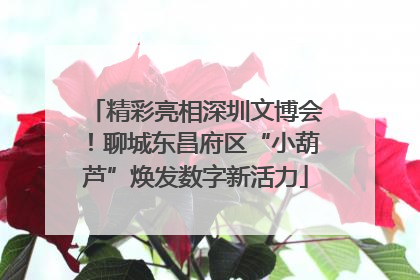 精彩亮相深圳文博会！聊城东昌府区“小葫芦”焕发数字新活力