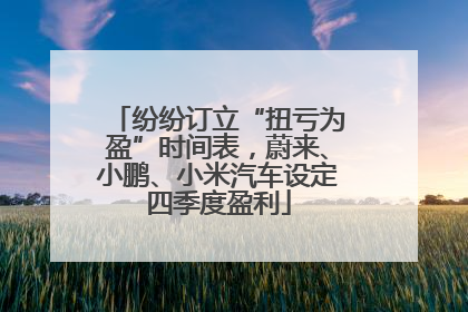 纷纷订立“扭亏为盈”时间表，蔚来、小鹏、小米汽车设定四季度盈利