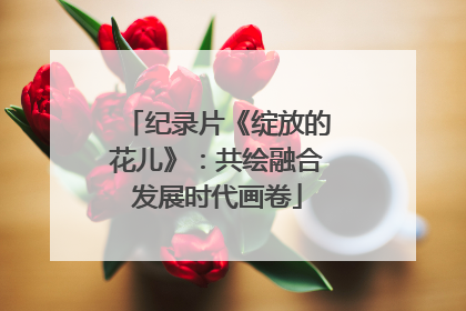 纪录片《绽放的花儿》：共绘融合发展时代画卷