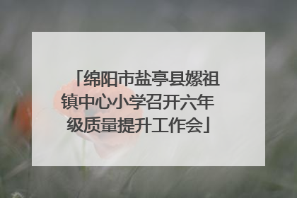 绵阳市盐亭县嫘祖镇中心小学召开六年级质量提升工作会