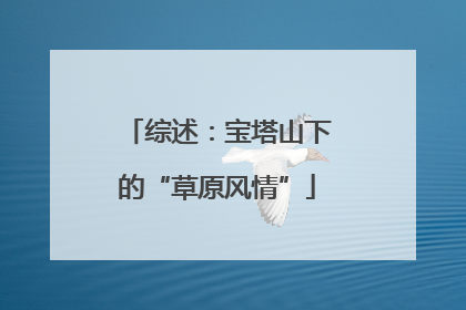 综述：宝塔山下的“草原风情”