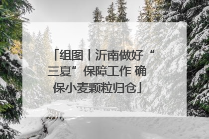组图丨沂南做好“三夏”保障工作 确保小麦颗粒归仓
