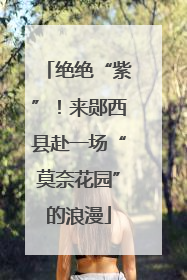 绝绝“紫”！来郧西县赴一场“莫奈花园”的浪漫