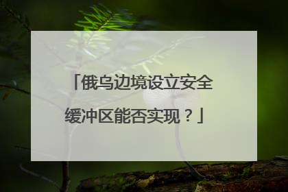 俄乌边境设立安全缓冲区能否实现？