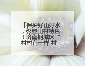 保护好山好水，彰显山村特色！济南钢城区“村村有一样 村村不一样”