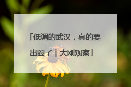 低调的武汉，真的要出圈了｜大刚观察