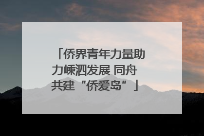 侨界青年力量助力嵊泗发展 同舟共建“侨爱岛”