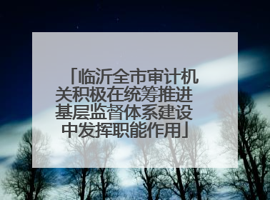 临沂全市审计机关积极在统筹推进基层监督体系建设中发挥职能作用