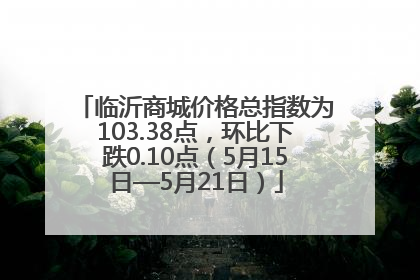 临沂商城价格总指数为103.38点，环比下跌0.10点（5月15日—5月21日）