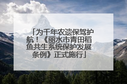 为千年农遗保驾护航！《丽水市青田稻鱼共生系统保护发展条例》正式施行