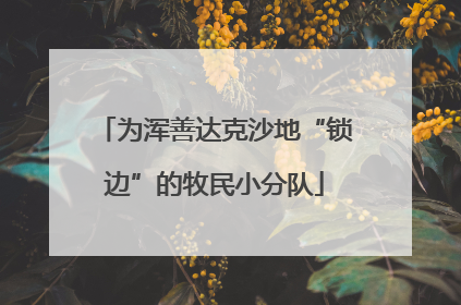 为浑善达克沙地“锁边”的牧民小分队