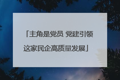 主角是党员 党建引领这家民企高质量发展