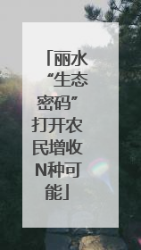 丽水“生态密码”打开农民增收N种可能