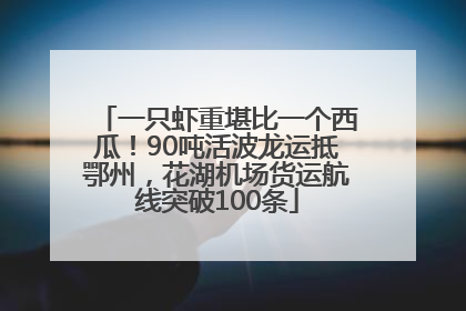一只虾重堪比一个西瓜！90吨活波龙运抵鄂州，花湖机场货运航线突破100条