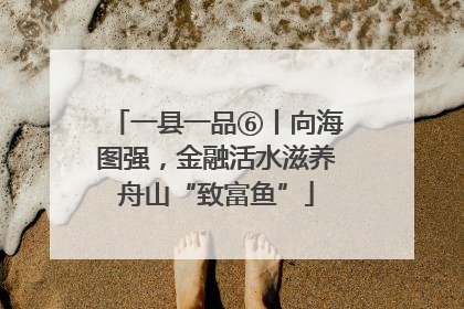 一县一品⑥丨向海图强，金融活水滋养舟山“致富鱼”