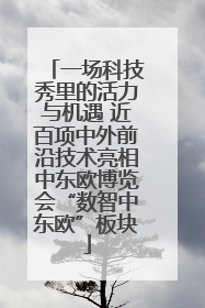 一场科技秀里的活力与机遇 近百项中外前沿技术亮相中东欧博览会“数智中东欧”板块