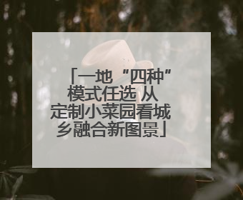 一地“四种” 模式任选 从定制小菜园看城乡融合新图景