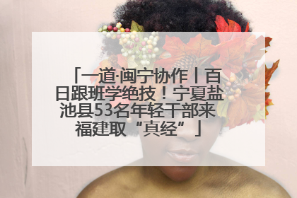 一道·闽宁协作丨百日跟班学绝技！宁夏盐池县53名年轻干部来福建取“真经”