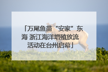 万尾鱼苗“安家”东海 浙江海洋增殖放流活动在台州启幕