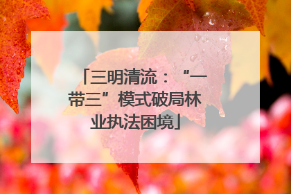 三明清流：“一带三”模式破局林业执法困境