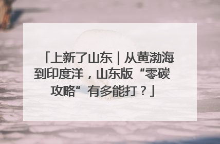 上新了山东｜从黄渤海到印度洋，山东版“零碳攻略”有多能打？