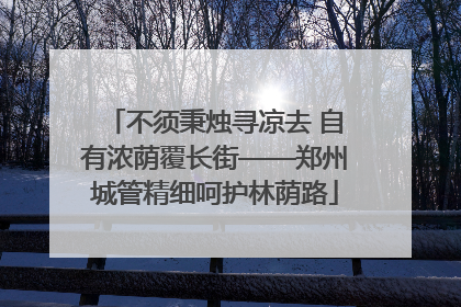 不须秉烛寻凉去 自有浓荫覆长街——郑州城管精细呵护林荫路