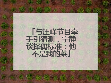 与汪峰节目牵手引猜测，宁静谈择偶标准：他不是我的菜