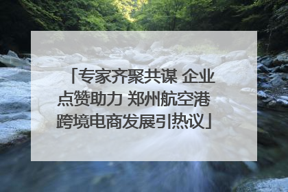 专家齐聚共谋 企业点赞助力 郑州航空港跨境电商发展引热议