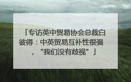专访英中贸易协会总裁白彼得：中英贸易互补性很强，“我们没有歧视”