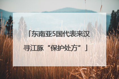 东南亚5国代表来汉寻江豚“保护处方”