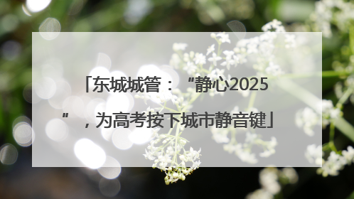 东城城管：“静心2025”，为高考按下城市静音键