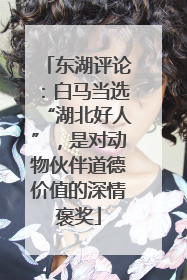 东湖评论：白马当选“湖北好人”，是对动物伙伴道德价值的深情褒奖