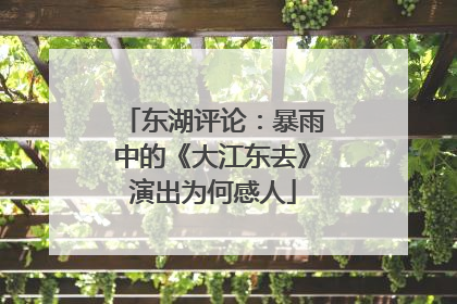 东湖评论：暴雨中的《大江东去》演出为何感人