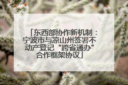 东西部协作新机制：宁波市与凉山州签署不动产登记“跨省通办”合作框架协议