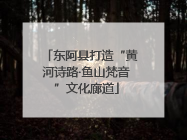 东阿县打造“黄河诗路·鱼山梵音”文化廊道