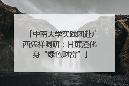 中南大学实践团赴广西凭祥调研：甘蔗渣化身“绿色财富”