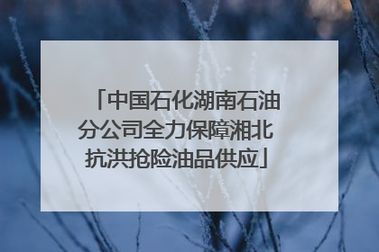 中国石化湖南石油分公司全力保障湘北抗洪抢险油品供应