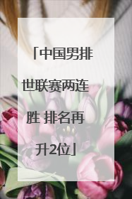 中国男排世联赛两连胜 排名再升2位