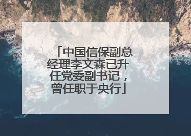 中国信保副总经理李文森已升任党委副书记，曾任职于央行