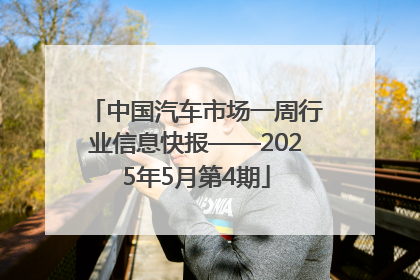 中国汽车市场一周行业信息快报——2025年5月第4期