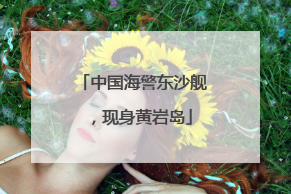 中国海警东沙舰，现身黄岩岛