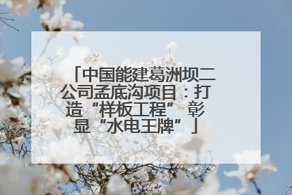 中国能建葛洲坝二公司孟底沟项目：打造“样板工程” 彰显“水电王牌”