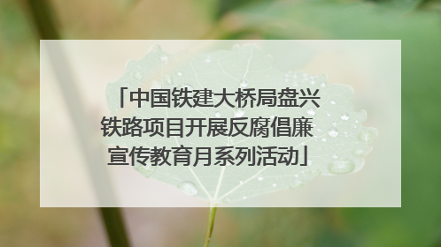 中国铁建大桥局盘兴铁路项目开展反腐倡廉宣传教育月系列活动