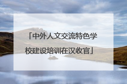 中外人文交流特色学校建设培训在汉收官